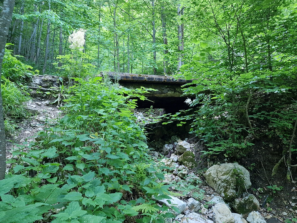 Slika je vidna v Google Chromu.