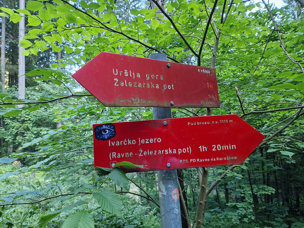 Slika je vidna v Google Chromu.