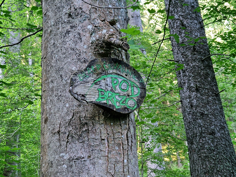 Slika je vidna v Google Chromu.