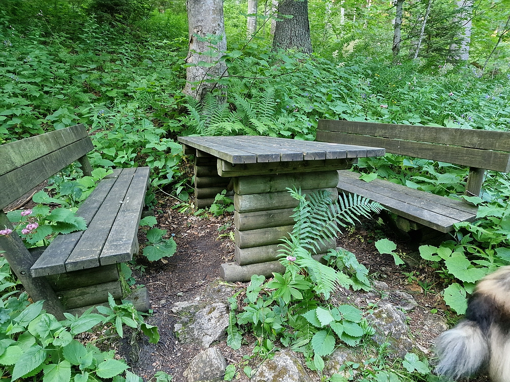 Slika je vidna v Google Chromu.