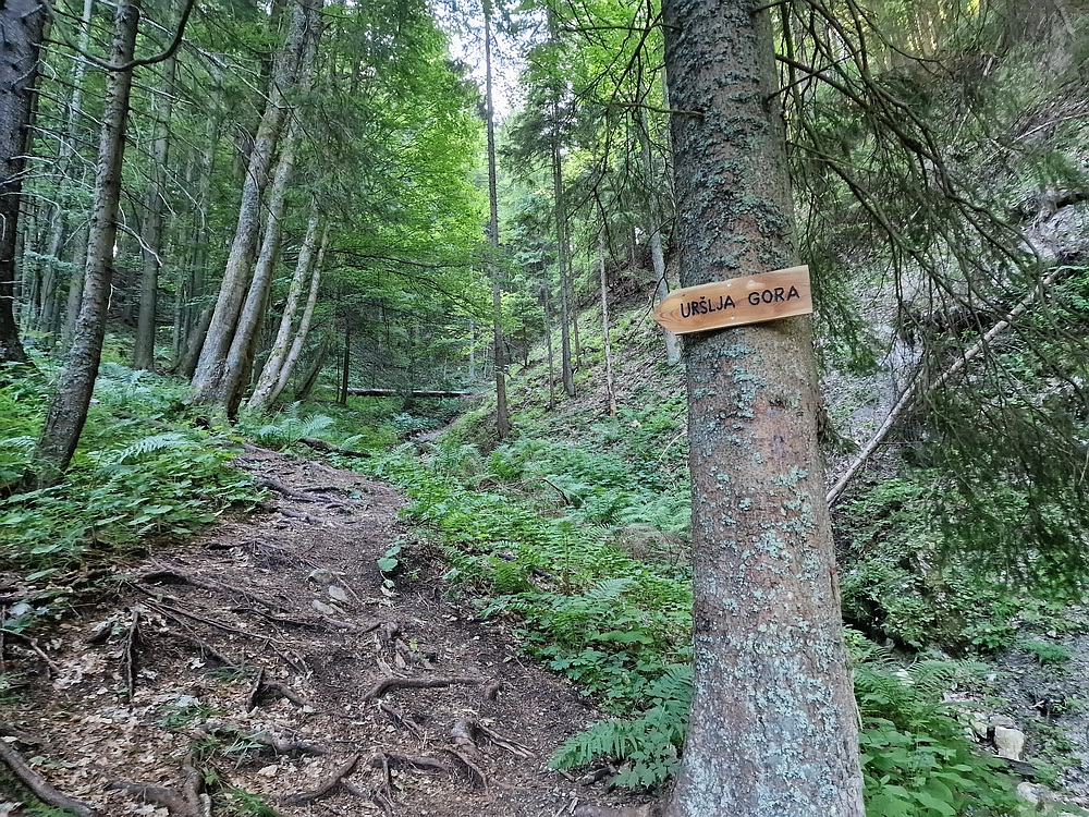 Slika je vidna v Google Chromu.