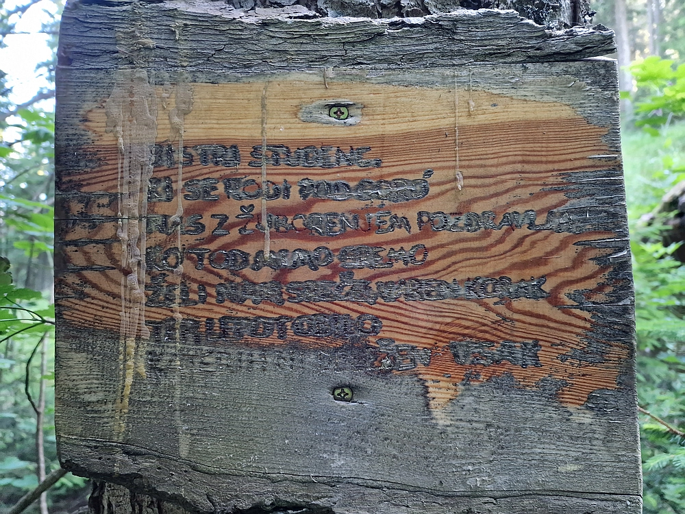 Slika je vidna v Google Chromu.