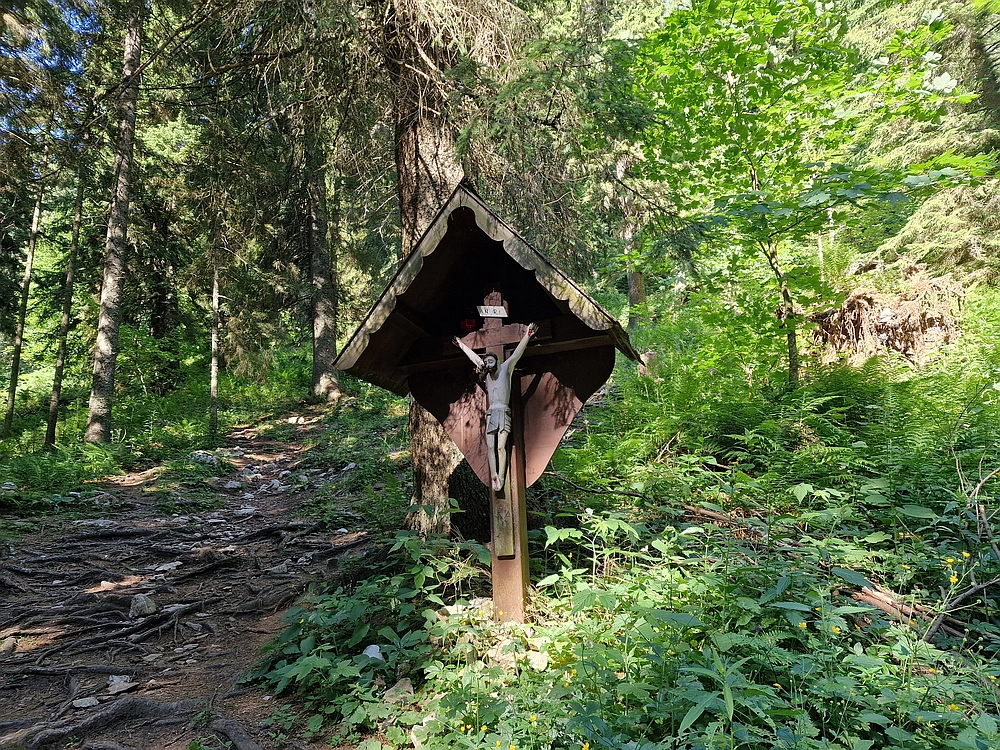 Slika je vidna v Google Chromu.