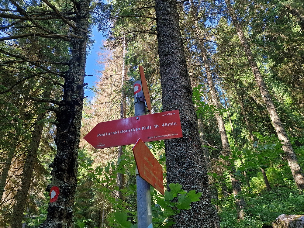 Slika je vidna v Google Chromu.