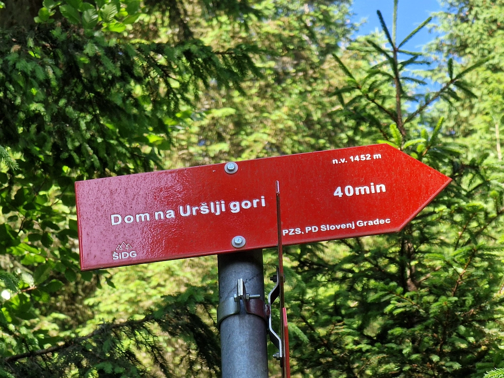 Slika je vidna v Google Chromu.