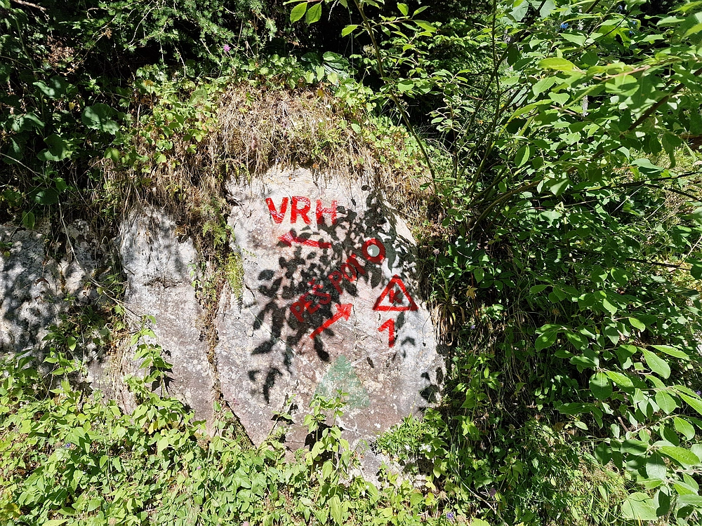 Slika je vidna v Google Chromu.