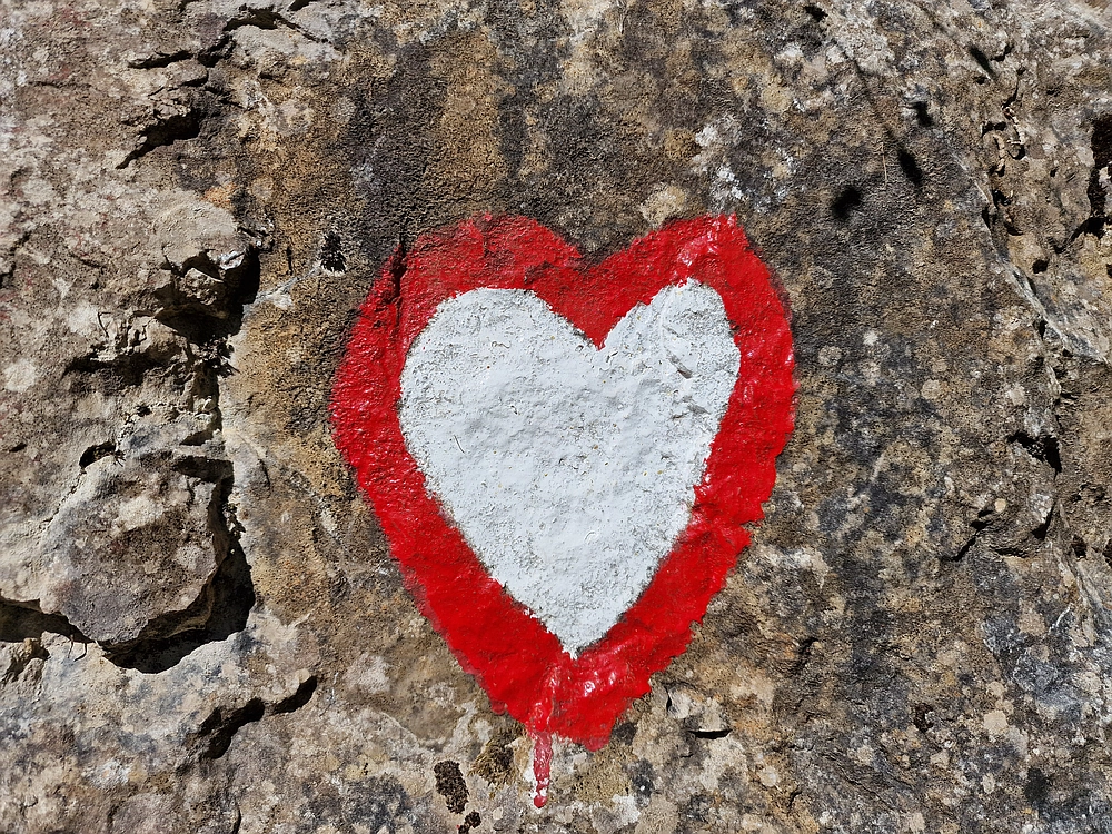 Slika je vidna v Google Chromu.