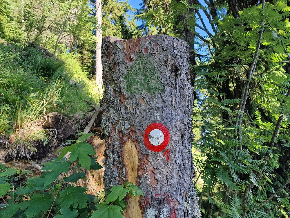 Slika je vidna v Google Chromu.