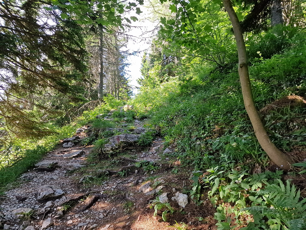 Slika je vidna v Google Chromu.