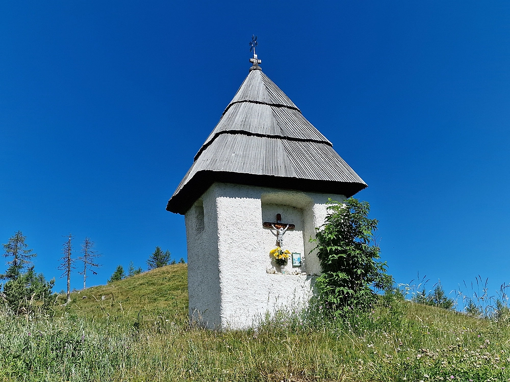Slika je vidna v Google Chromu.