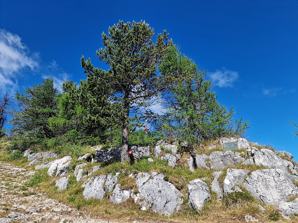 Slika je vidna v Google Chromu.