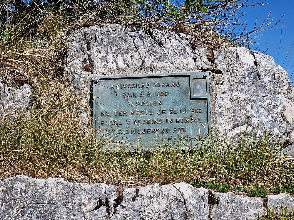 Slika je vidna v Google Chromu.