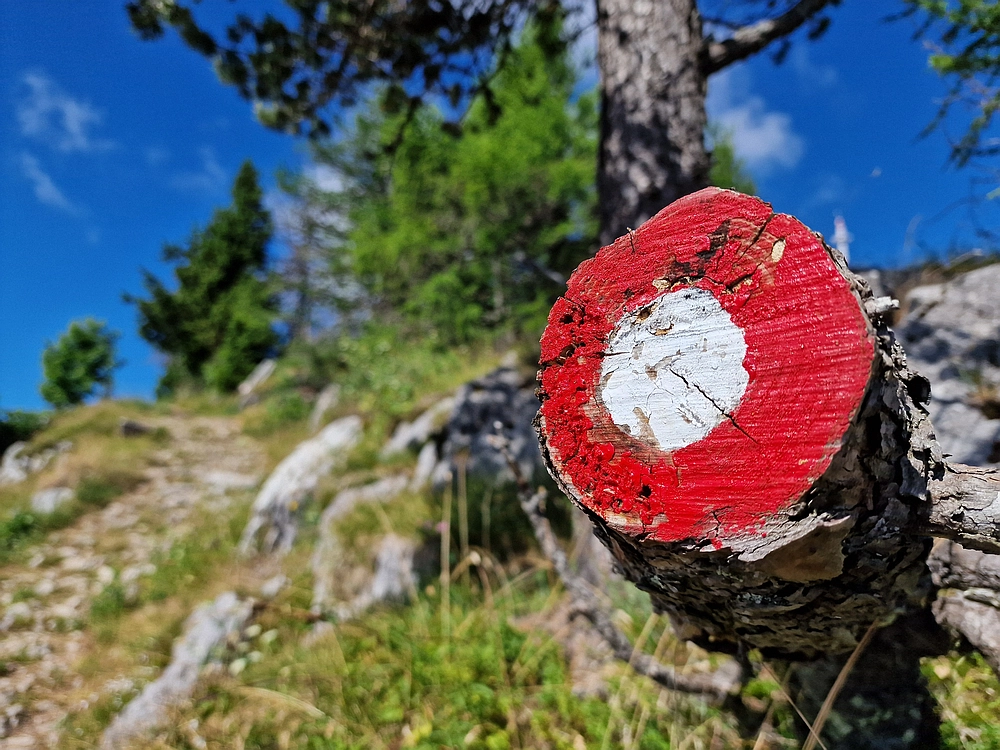Slika je vidna v Google Chromu.