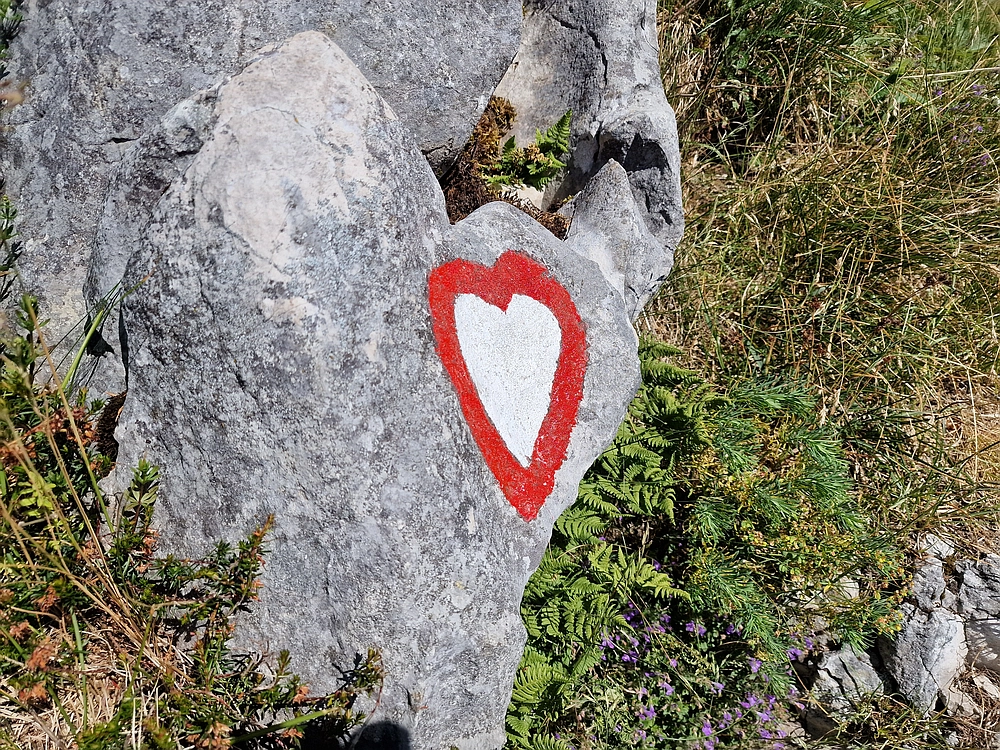 Slika je vidna v Google Chromu.