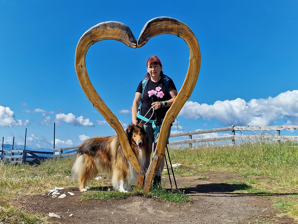Slika je vidna v Google Chromu.