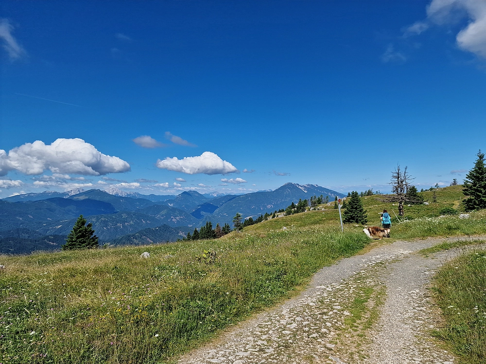Slika je vidna v Google Chromu.