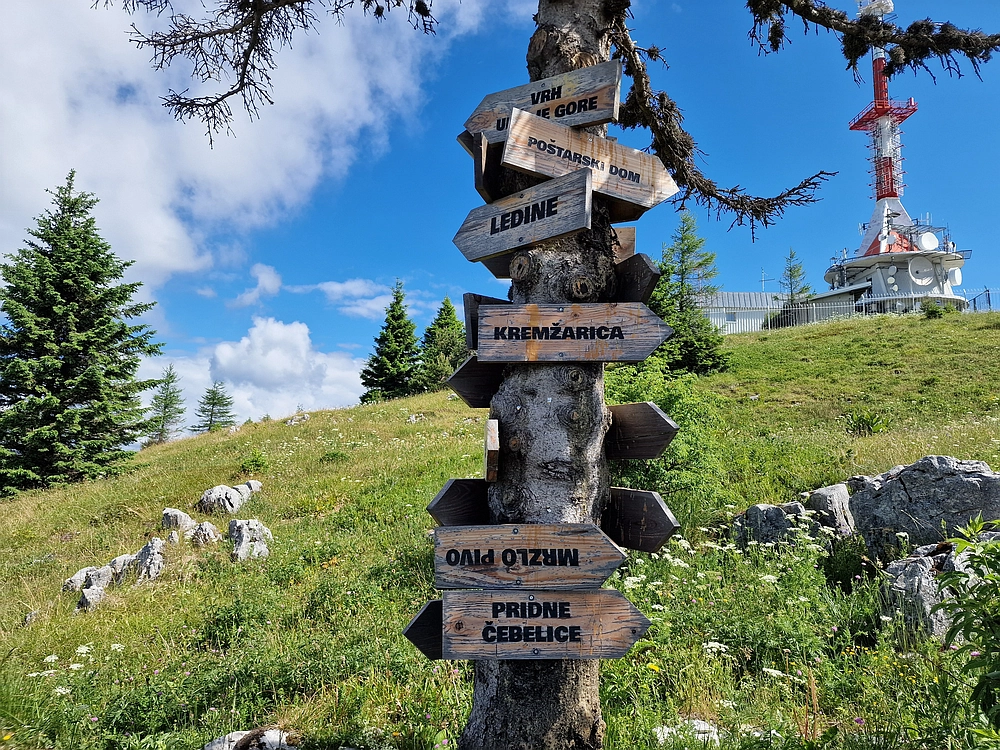 Slika je vidna v Google Chromu.