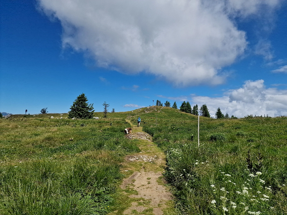 Slika je vidna v Google Chromu.