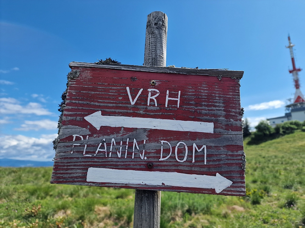 Slika je vidna v Google Chromu.