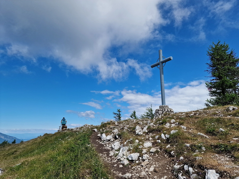 Slika je vidna v Google Chromu.