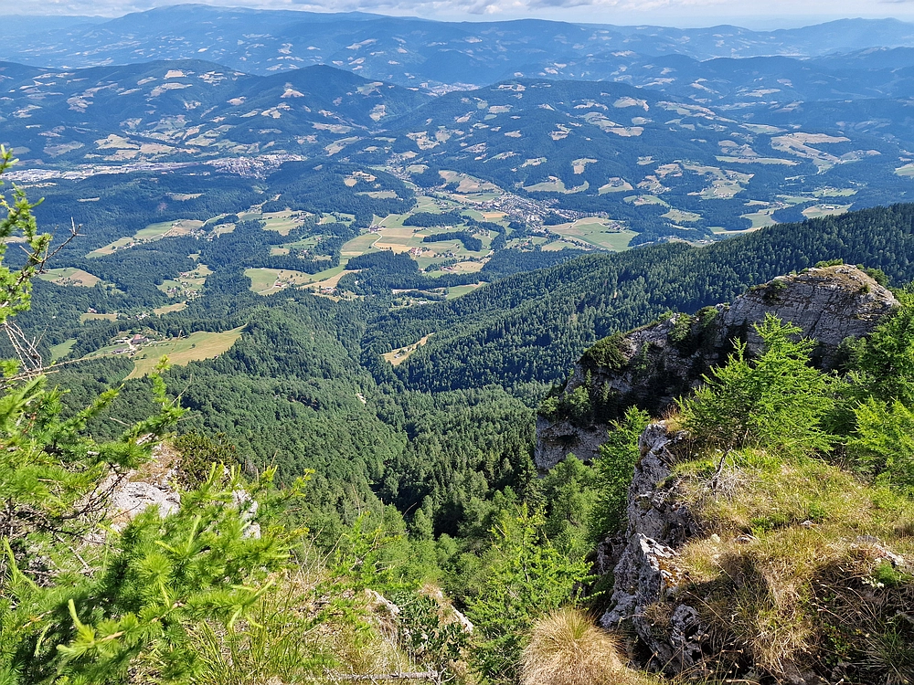 Slika je vidna v Google Chromu.