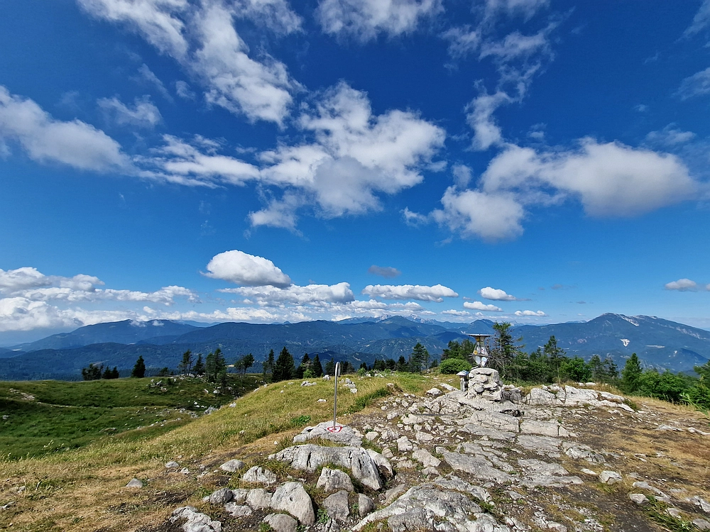 Slika je vidna v Google Chromu.