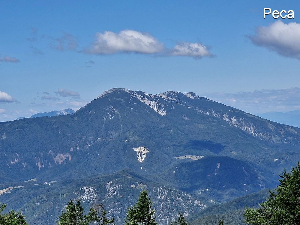 Slika je vidna v Google Chromu.