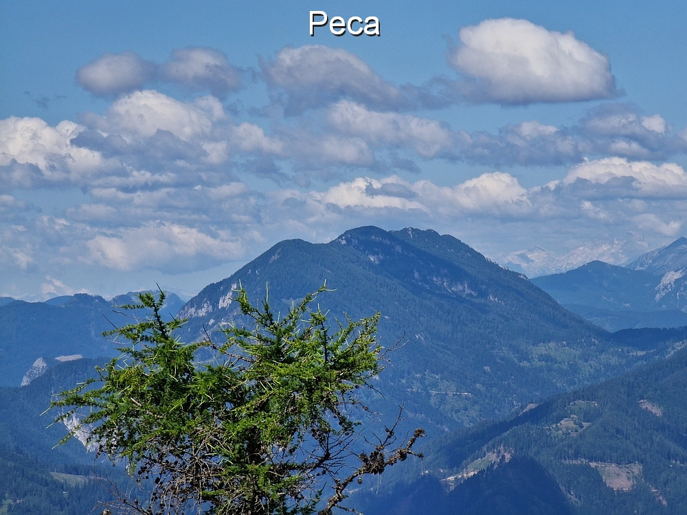 Slika je vidna v Google Chromu.