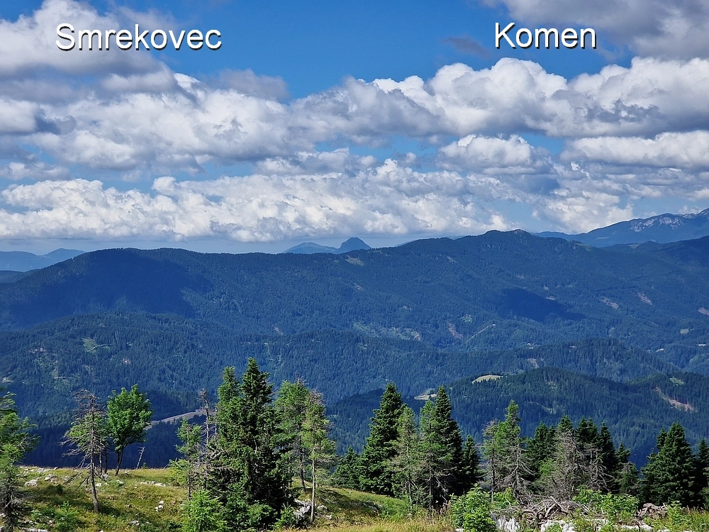 Slika je vidna v Google Chromu.