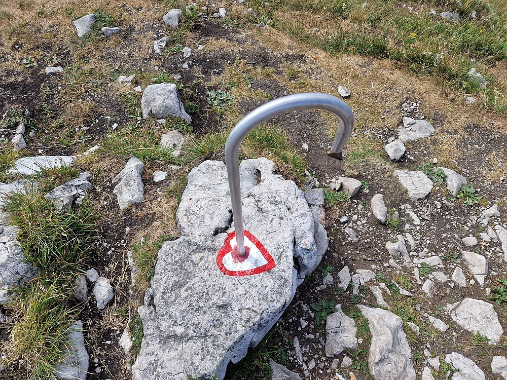 Slika je vidna v Google Chromu.