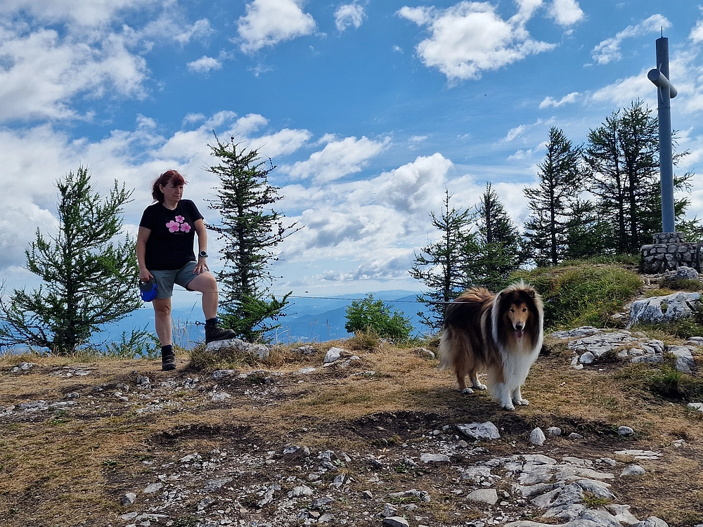 Slika je vidna v Google Chromu.