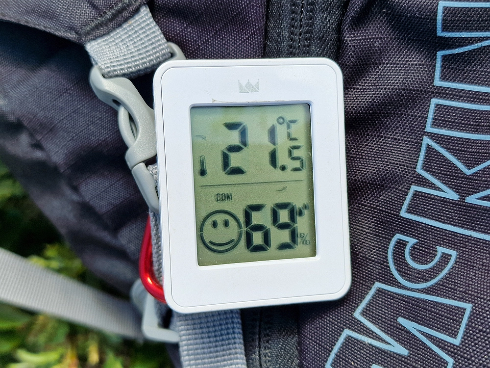 Slika je vidna v Google Chromu.