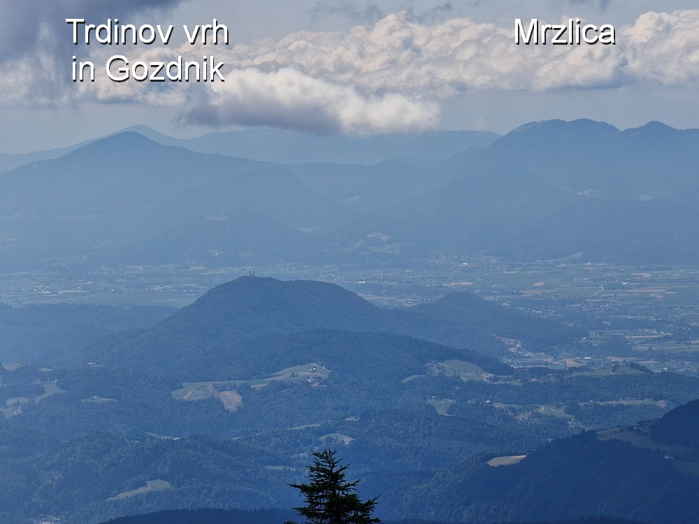 Slika je vidna v Google Chromu.