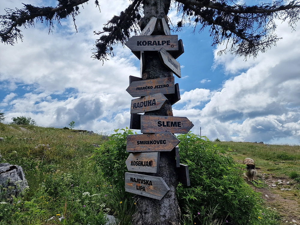 Slika je vidna v Google Chromu.