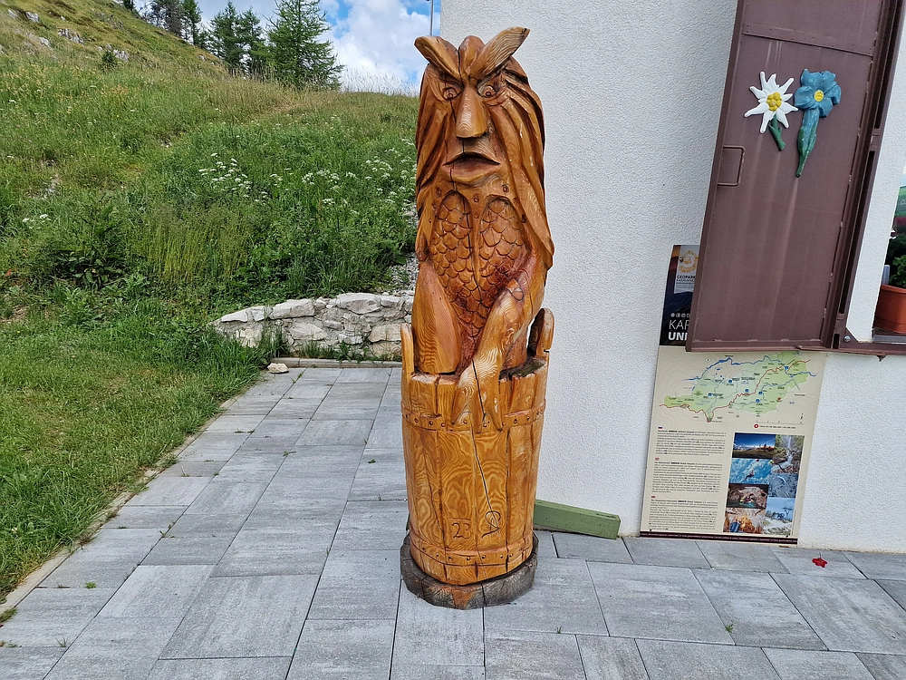 Slika je vidna v Google Chromu.