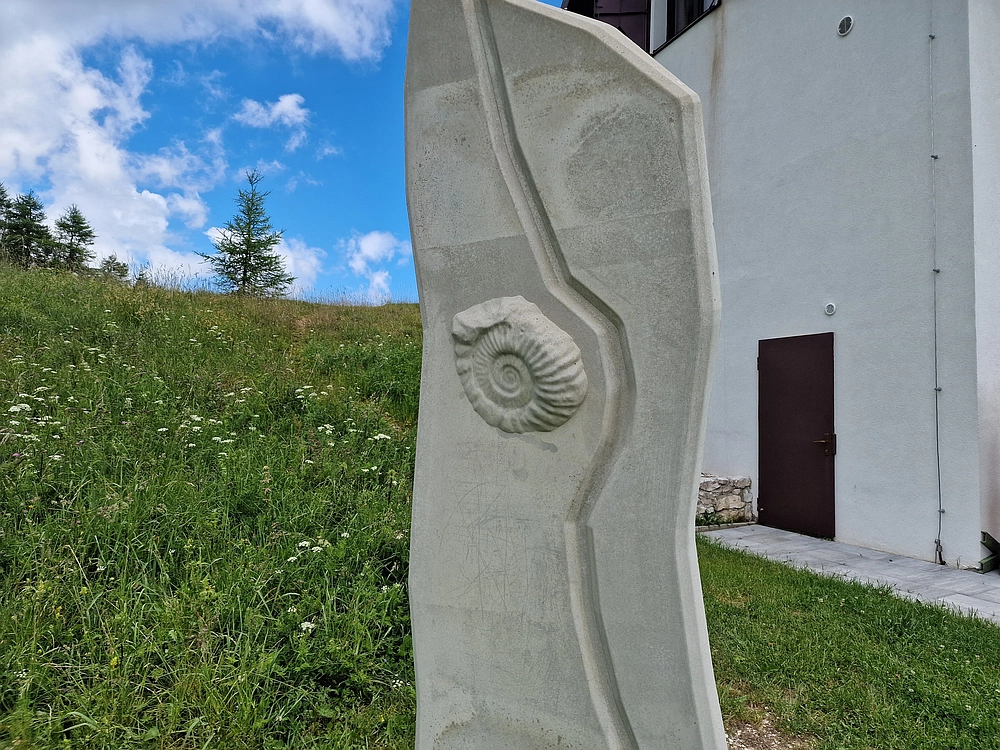 Slika je vidna v Google Chromu.