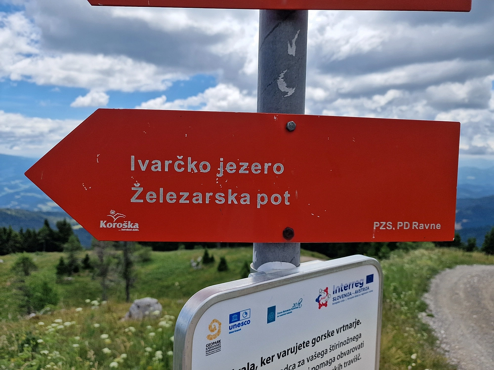 Slika je vidna v Google Chromu.