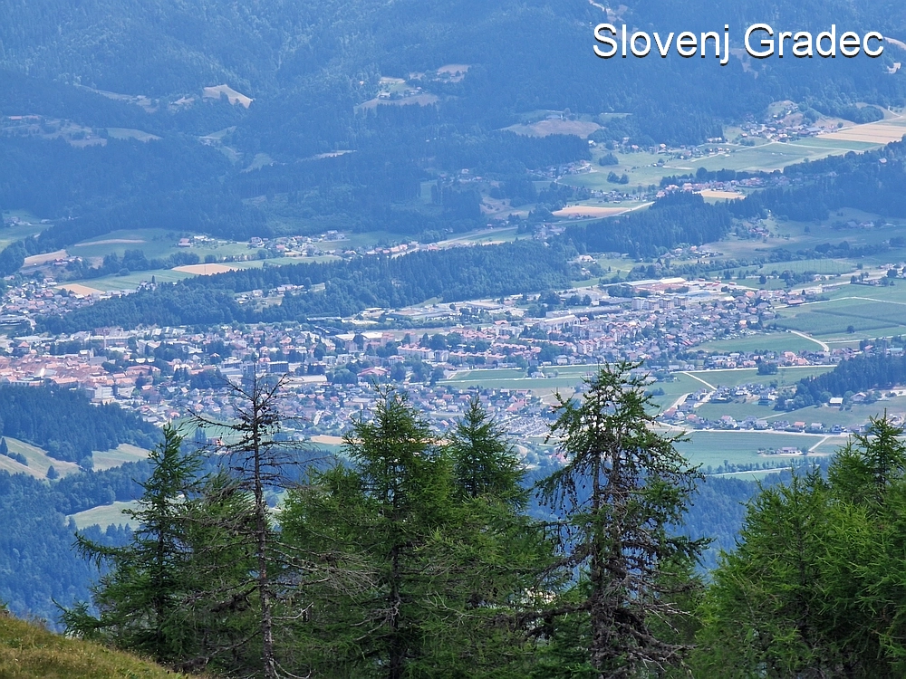 Slika je vidna v Google Chromu.