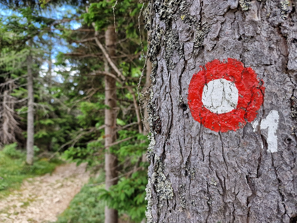 Slika je vidna v Google Chromu.