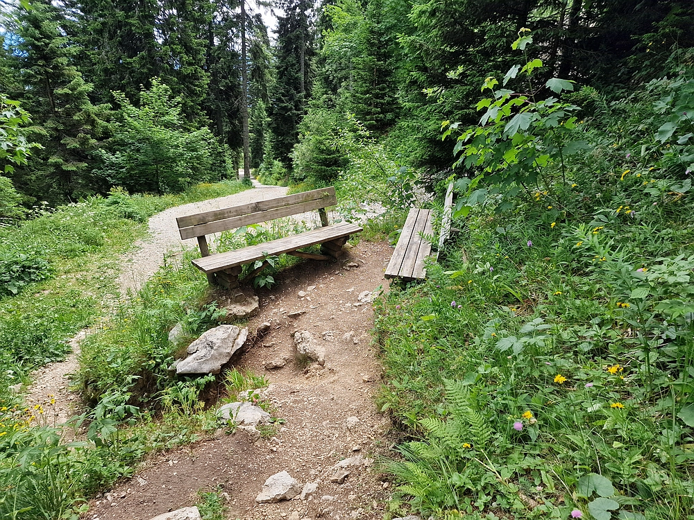 Slika je vidna v Google Chromu.