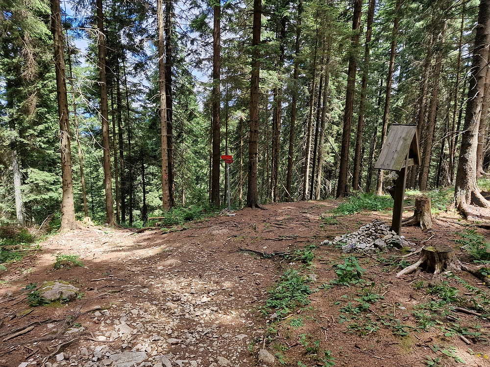 Slika je vidna v Google Chromu.