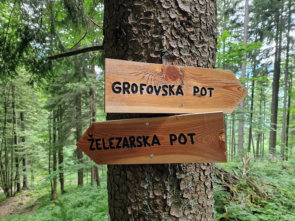 Slika je vidna v Google Chromu.