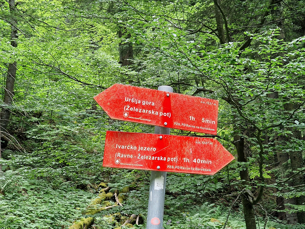 Slika je vidna v Google Chromu.