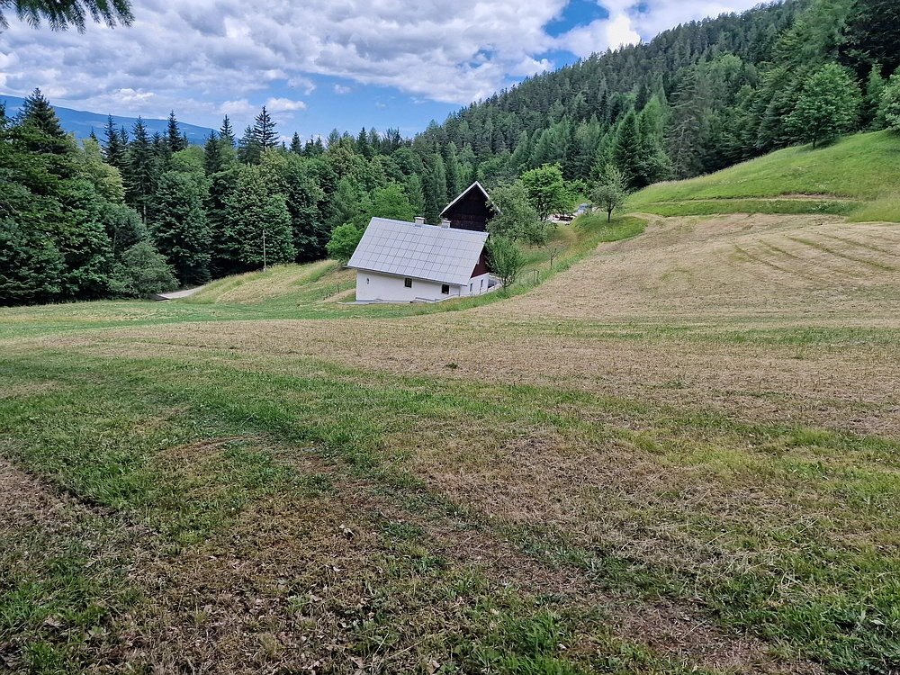 Slika je vidna v Google Chromu.
