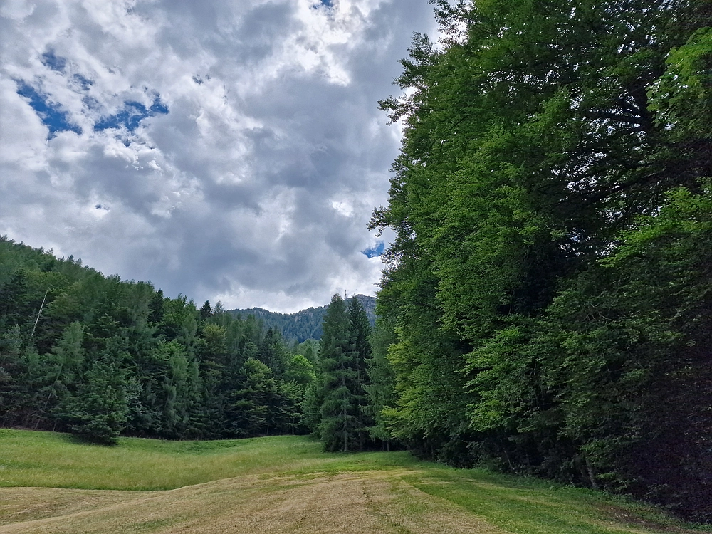 Slika je vidna v Google Chromu.