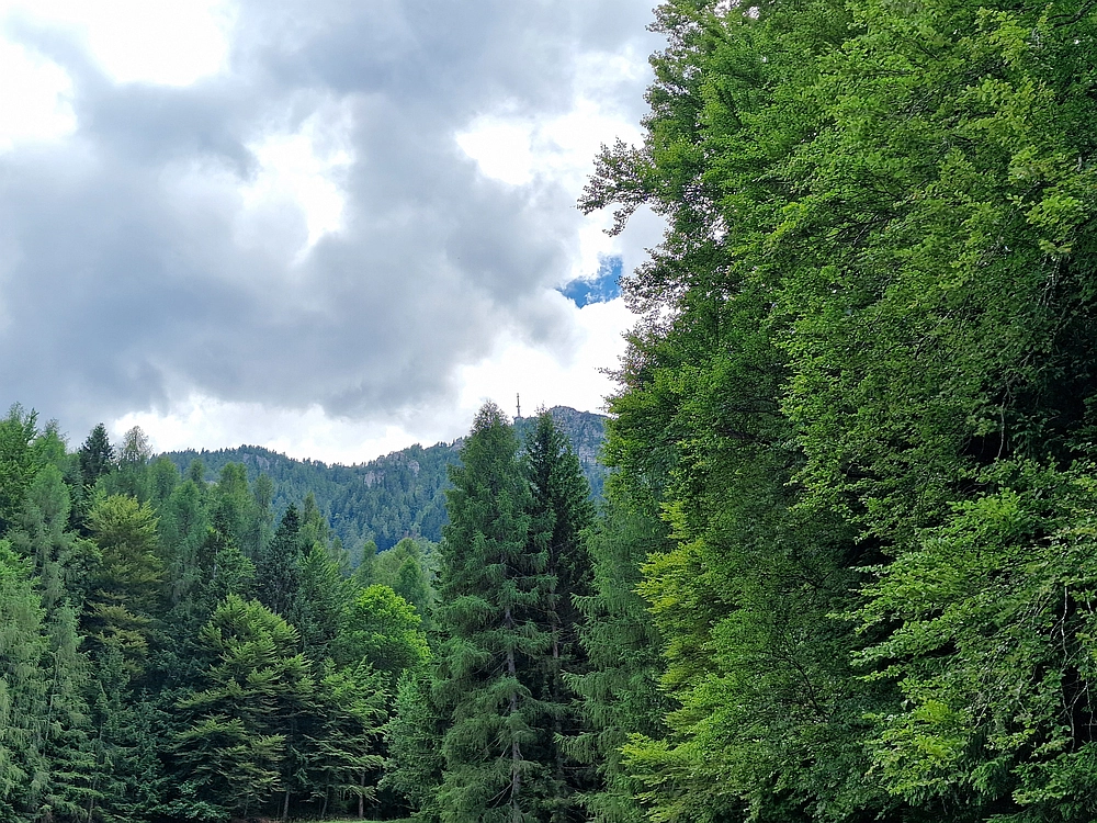 Slika je vidna v Google Chromu.