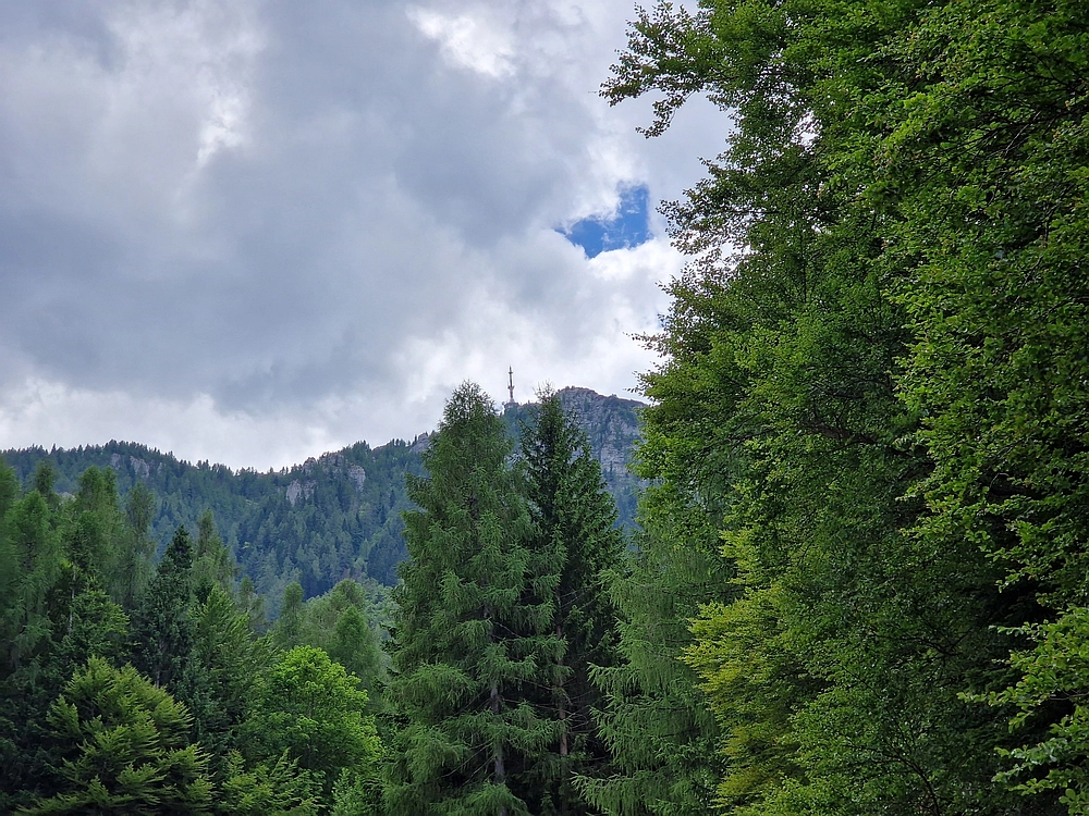 Slika je vidna v Google Chromu.