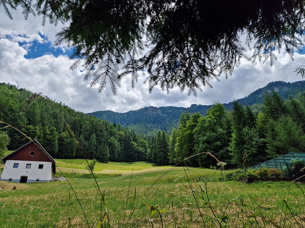Slika je vidna v Google Chromu.