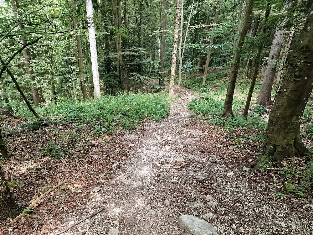 Slika je vidna v Google Chromu.