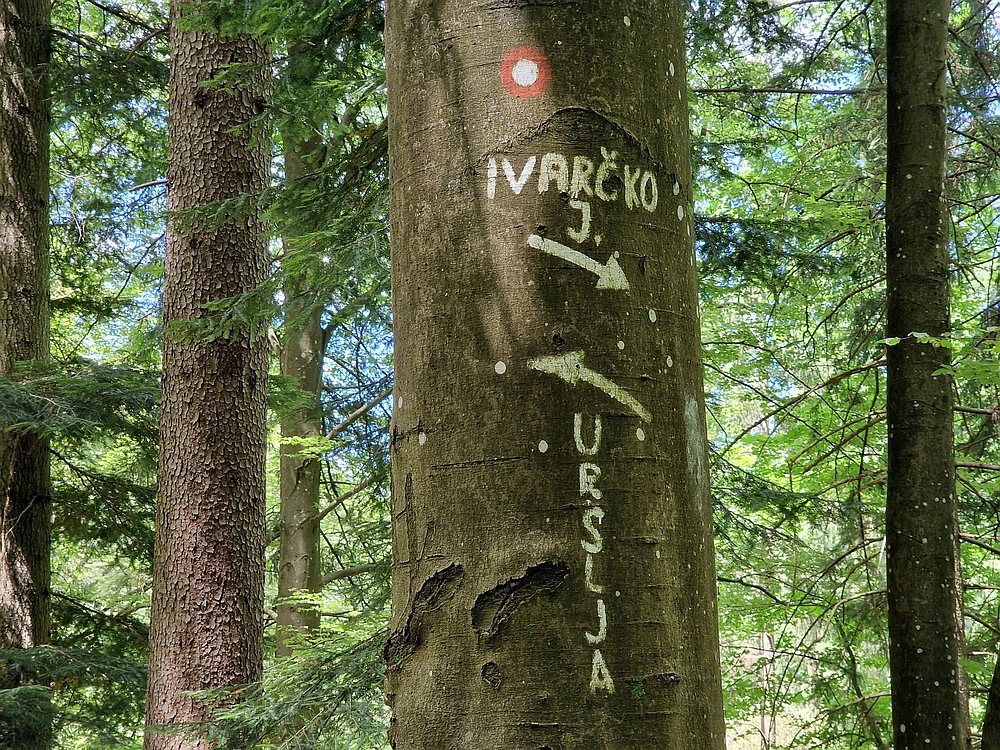 Slika je vidna v Google Chromu.